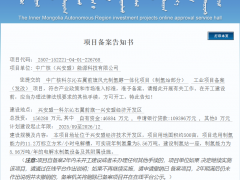 興安盟40萬噸生物質綠色甲醇項目采購中標公示